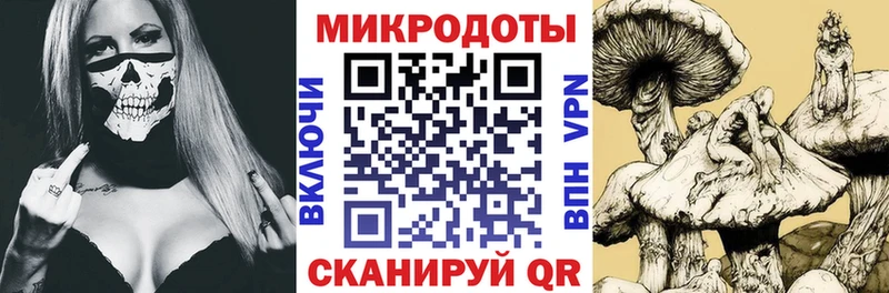 Псилоцибиновые грибы Psilocybine cubensis  мориарти формула  Хабаровск  дарнет шоп 