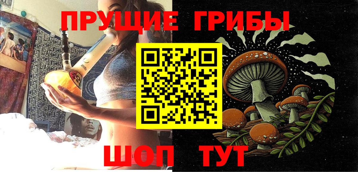 Галлюциногенные грибы Psilocybine cubensis Хабаровск
